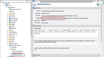 ContextScriptRibbonBody